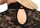 Cottelli Collection Spitzen Riobody mit Langarm M Schwarz