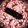 Bijoux Indiscrets Sweet Vibrations Bullet Black