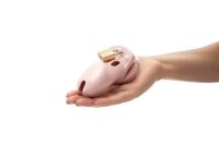 CB-X CB-3000 Kuisheidskooi Rosa