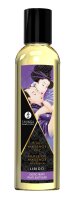 Shunga - Fruity Kisses Gift Set
