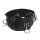 Forced Orgasm Belt