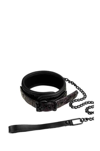 BLAZE Halsband und Leine, purple